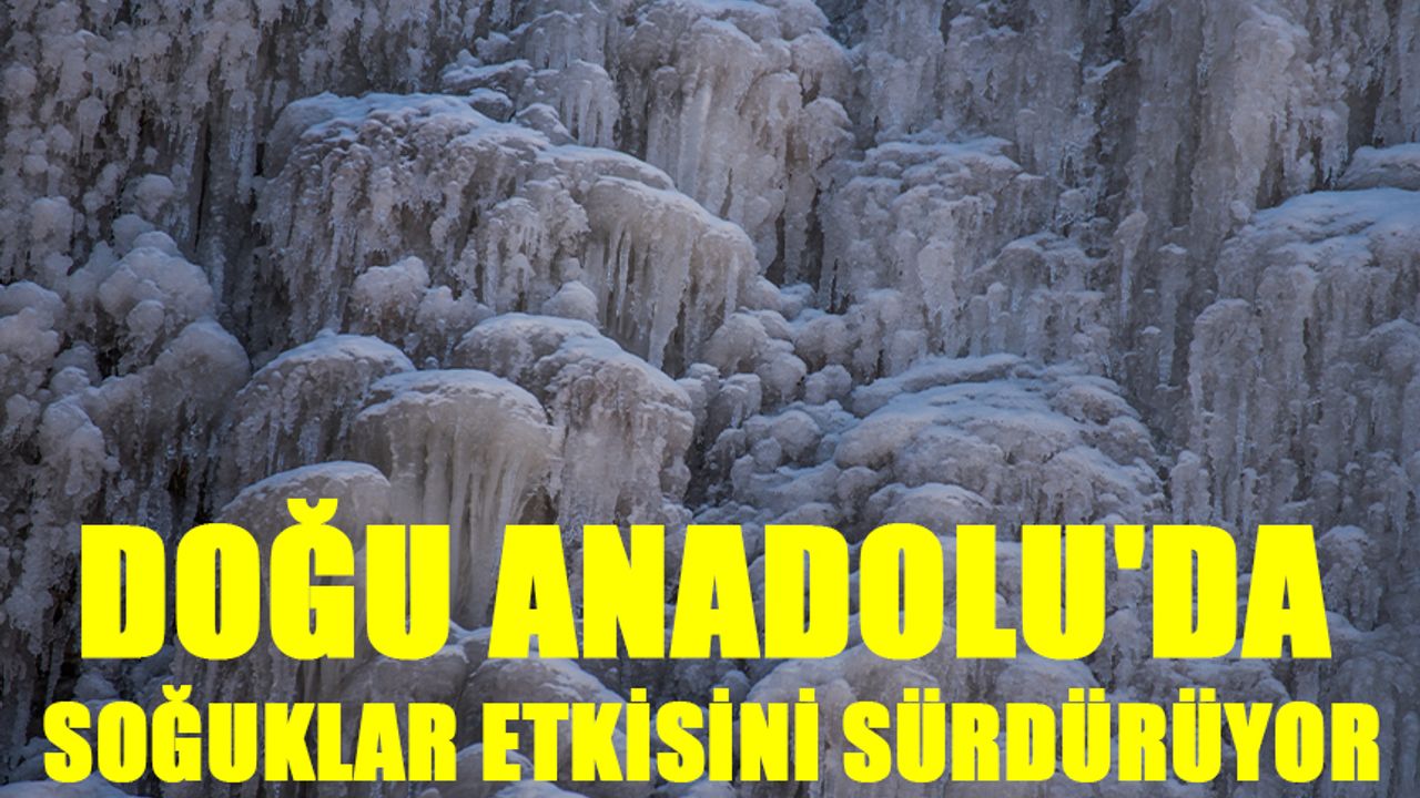 Doğu Anadolu'da soğuklar etkisini sürdürüyor