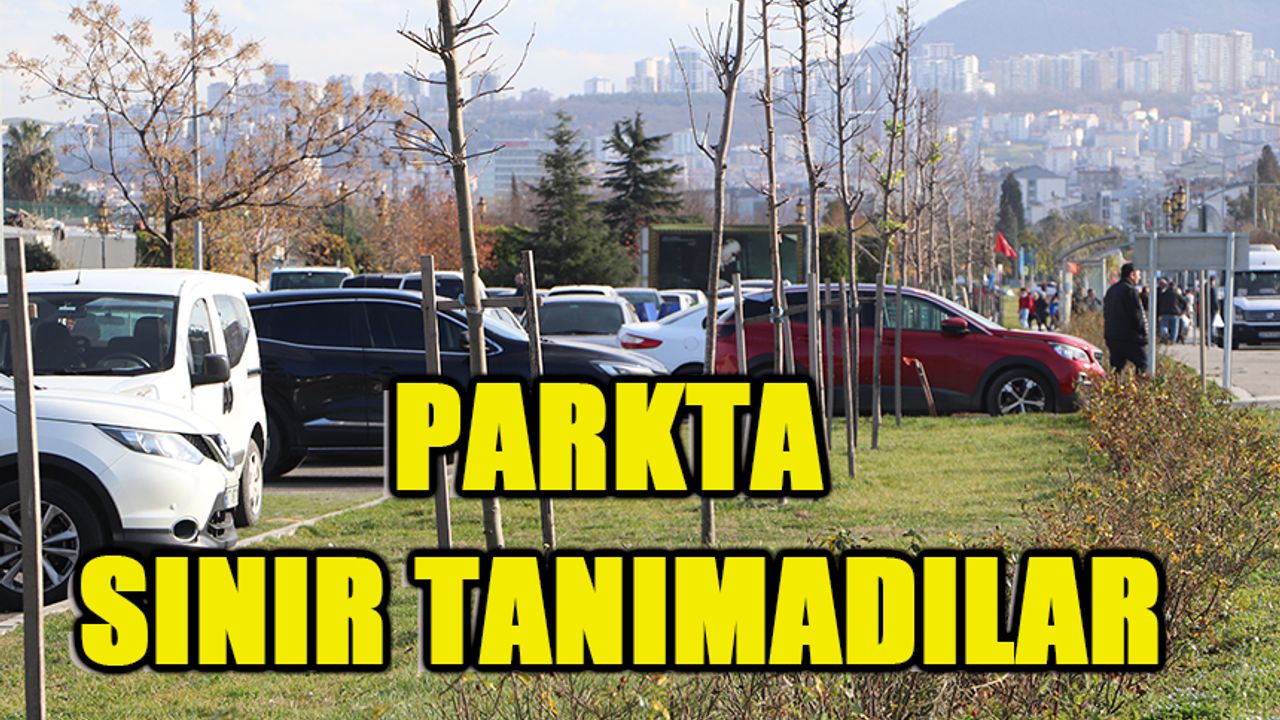 Parkta sınır tanımadılar