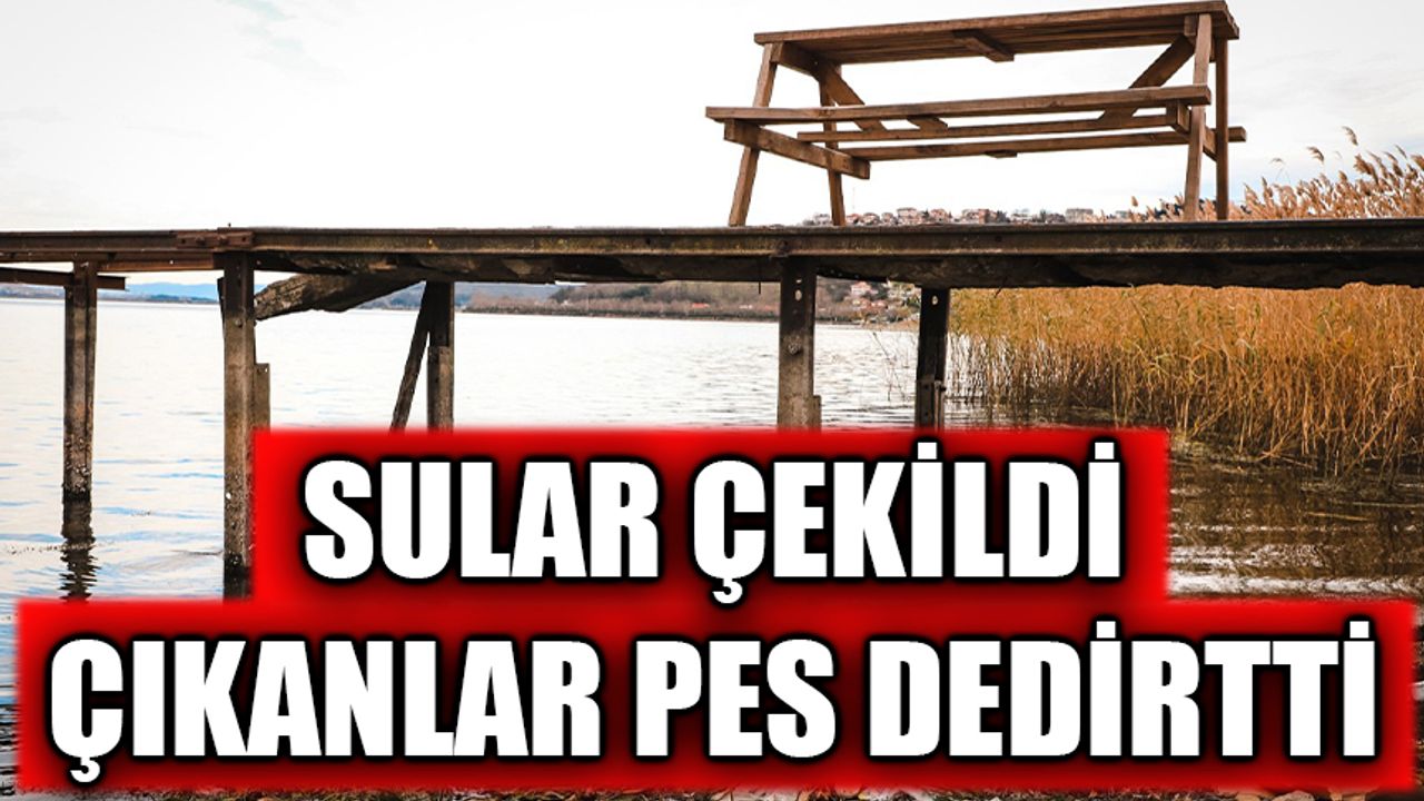 Su seviyesi gerileyen Sapanca Gölü'nden bakın neler çıktı
