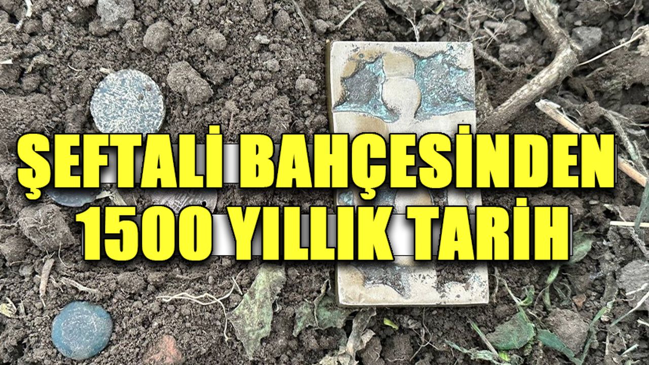 1500 yıllık tarih şeftali bahçesinden çıktı