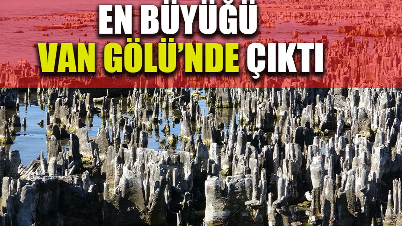 Van Gölü kıyısında en büyük mikrobiyalit oluşumuna rastlandı