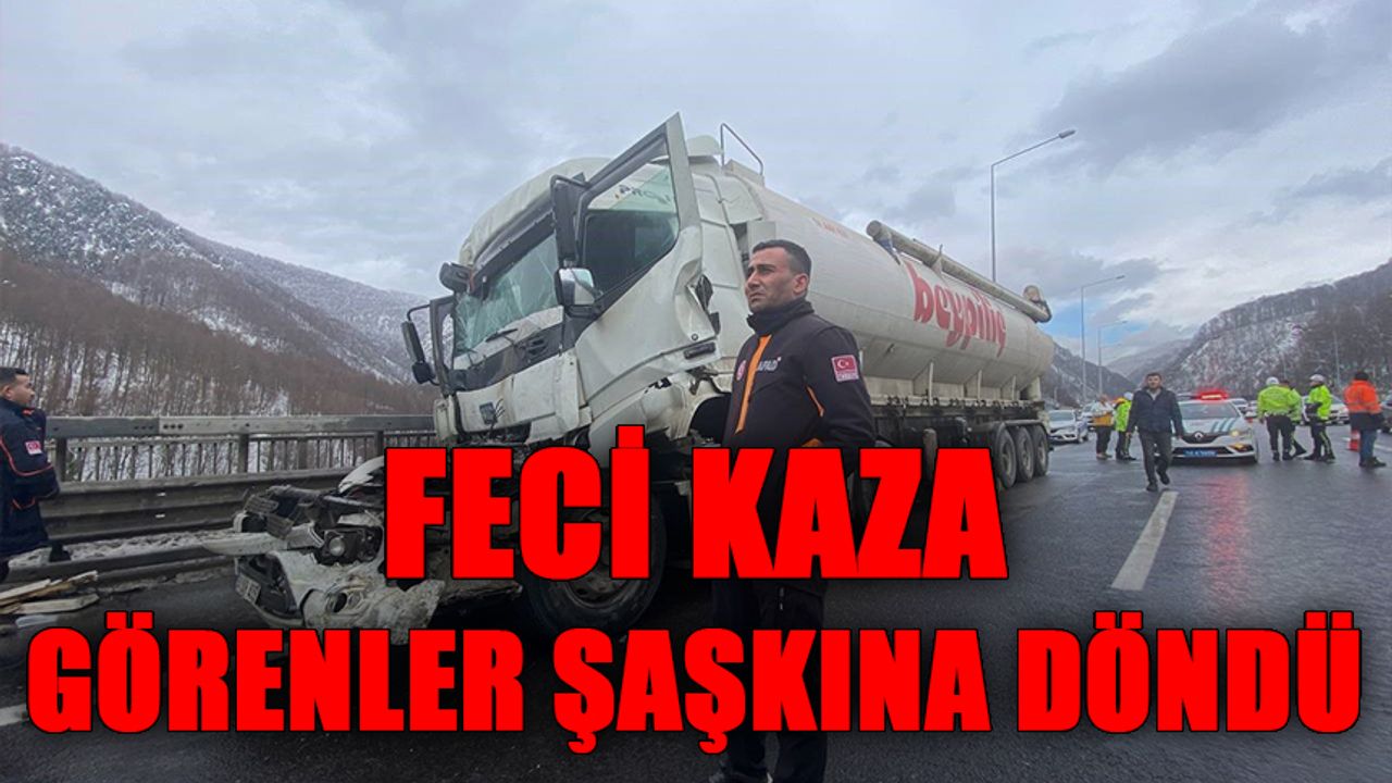 Görenler şaşkına döndü