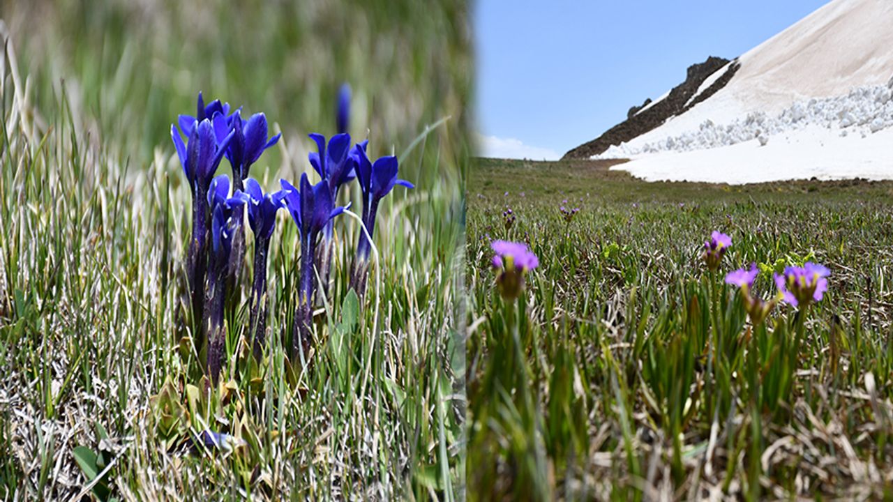 Muhteşem bir doğa görüntüsü!