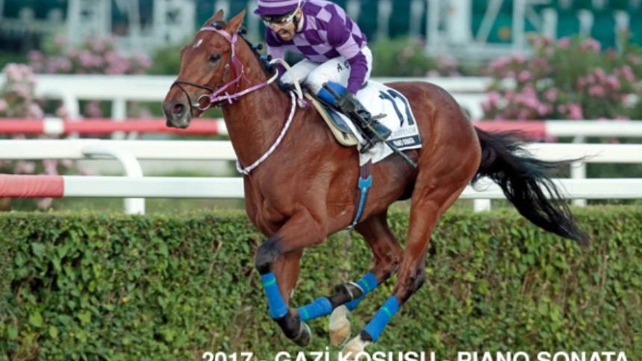 Tüyosu olan kazanır! 30 Ağustos at yarışı tahminleri