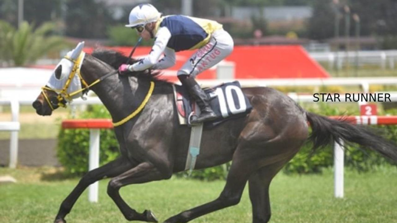 Tüyosu olan kazanır! 1 Temmuz at yarışı tahminleri