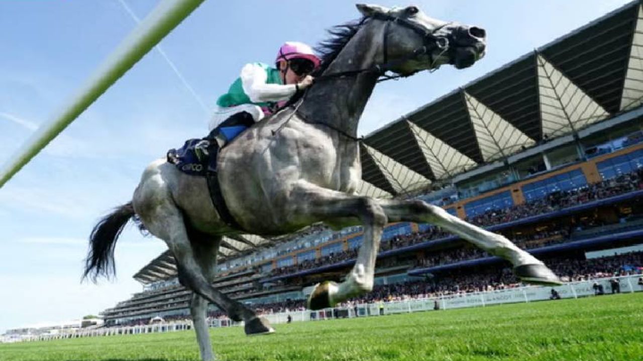 Tüyosu olan kazanır! 31 Ekim at yarışı tahminleri