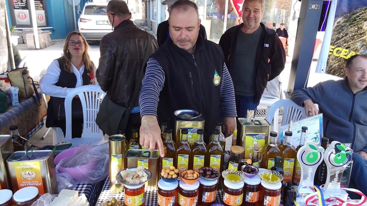 Çanakkale'de "Eceabat Zeytinyağı Festivali ve Zeytin Hasat Şenliği" düzenlendi