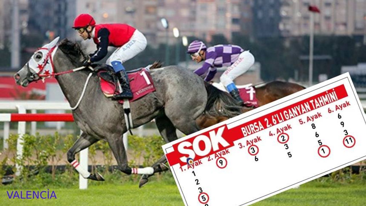 ŞOK okudular, ÇOK kazandılar:Bugünkü altılı Bursa'dan