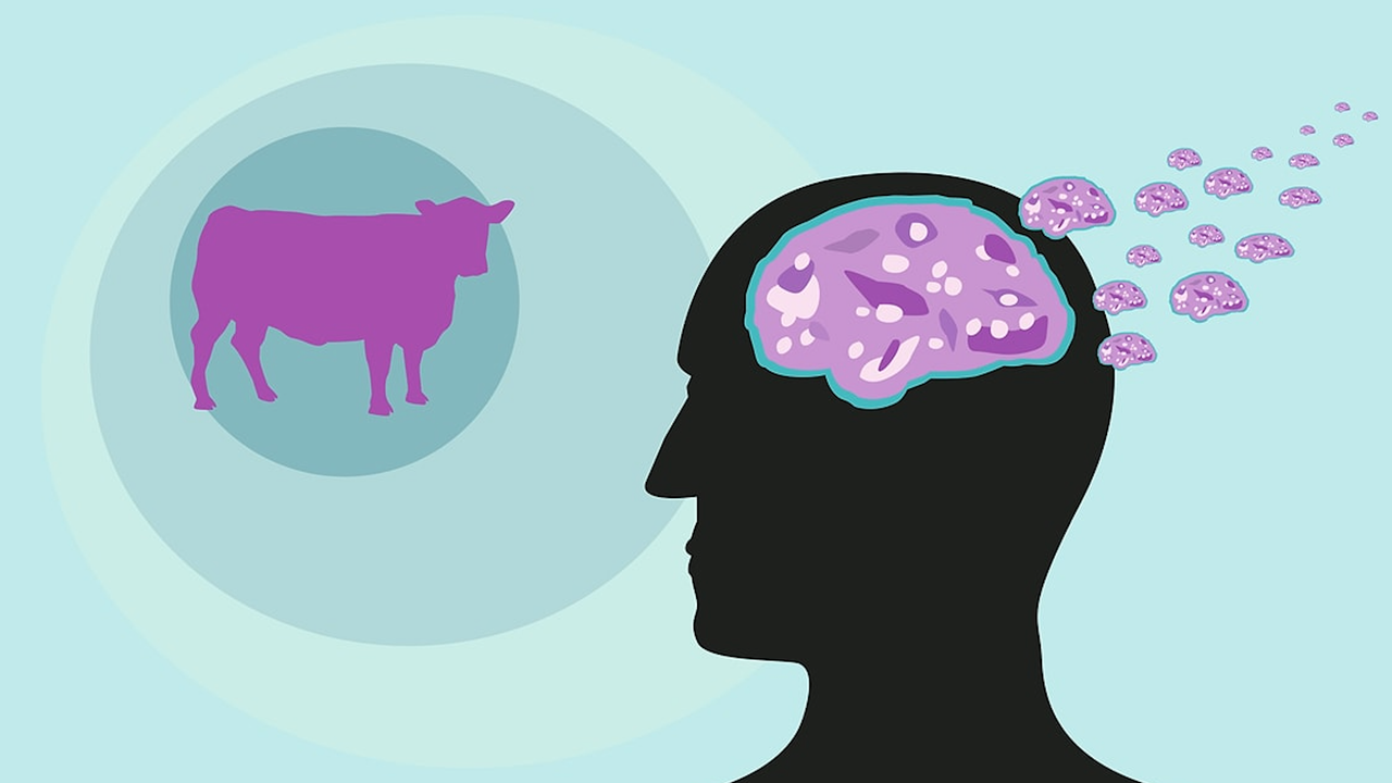 Deli Dana hastalığı yeniden Türkiye’de! Nasıl ortaya çıktı, nasıl bulaşıyor?