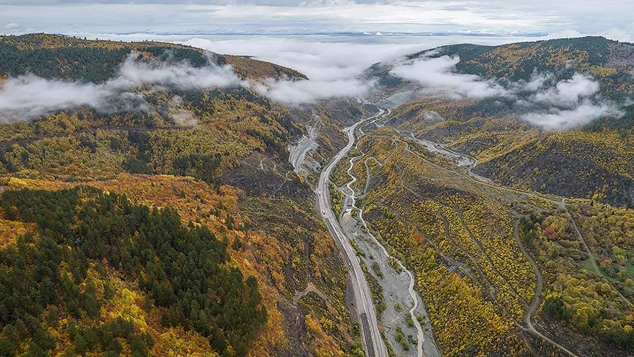 Ilgaz Dağı'nda etkili olan sis, sonbahar renkleriyle güzel görüntü oluşturdu