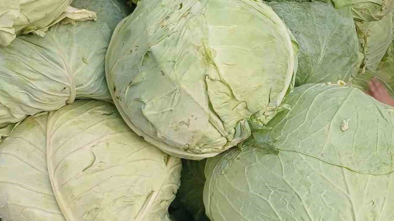 Muş lahanaları Diyarbakır’da tezgahlarda yerini aldı