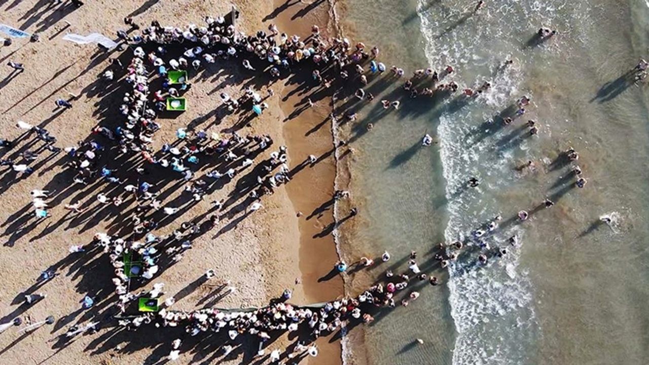 Muğla'da tedavileri tamamlanan deniz kaplumbağaları denizle buluştu