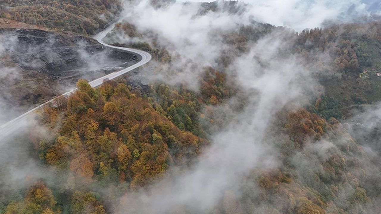 Ordu'da etkili olan sis sonbahar renkleriyle güzel görüntü oluşturdu