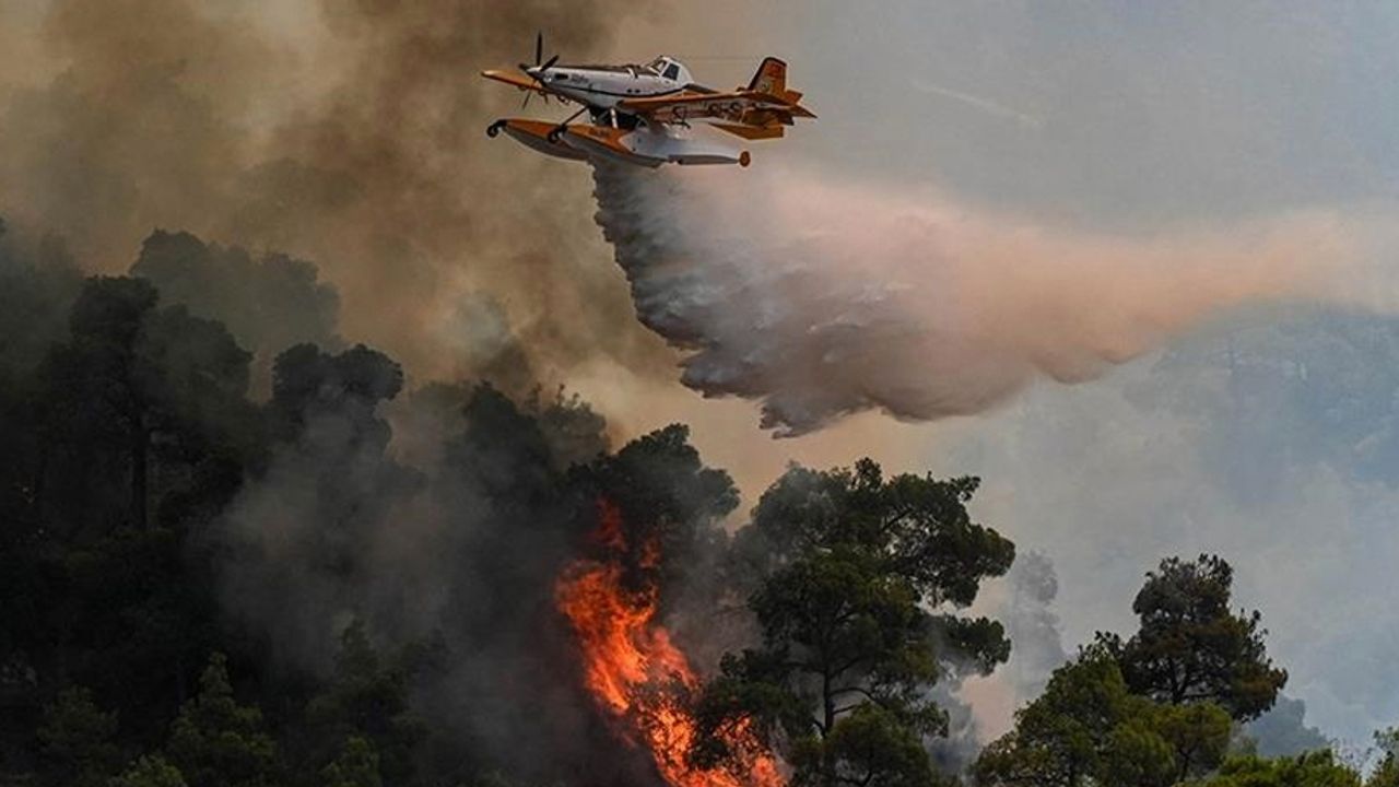 Yapay zeka orman yangınlarına müdahaleye hız kazandırdı