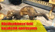 Küçükçekmece'deki kaçakçılık operasyonu