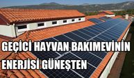 Geçici hayvan bakımevinin enerjisi güneşten