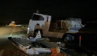 Tır devrildi, kilolarca balık telef oldu