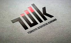 TÜİK açıkladı: Evden hırsızlıkta en çok ne çalınıyor?