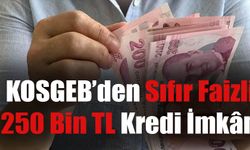 Sıfır faizli kredi arayanlara müjde! 250 bin TL sıfır faizli kredi veriliyor! İşte başvuru şartları