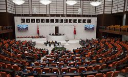 Türk siyasetine bir parti daha