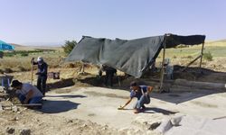 Elazığ'da tarih uyanıyor! Tesadüfen keşfedildi