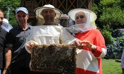 Artvin balı dünyanın en iyisi seçildi! İşte görüntüler