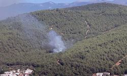 Bodrum'da orman yangını başladı! Yangının sebebi ne?