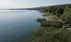 Ağlar temizlenecek Sapanca canlanacak