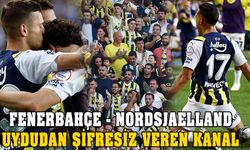 Fenerbahçe- Nordsjaelland maçı saati? Şifresiz veren kanal?