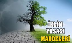 İklim yasası amacı nedir? İşte iklim kanunu maddeleri