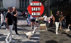 İstiklal Caddesi'nde Ardahanlı 'Kaz'ı gezdirdi!