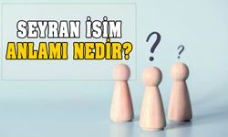 Seyran isminin anlamı nedir? Seyran ne demek?