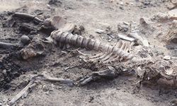 Kütahya'da 3 bin 700 yıllık beyin kalıntısı