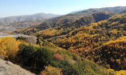 Erzincan, sonbaharda kıskandırdı