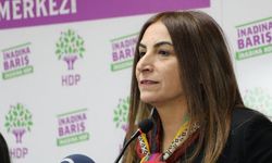 HDP'li Aysel Tuğluk'a gözaltı