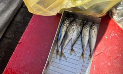 Kırklareli’nde balıkçılara boy cezası