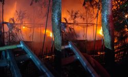 Beykoz'da yangın! Marangozhane cayır cayır yandı