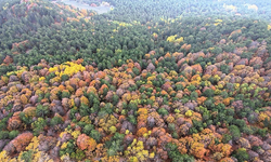 Ulus Dağı’nın adı sonbaharın tadı