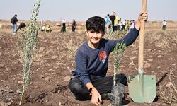 THY'den Şanlıurfa'ya  90 bin meyve fidanı