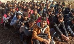 SON DAKİKA| Ali Yerlikaya:  İzmir'de düzenlenen 'Kalkan' operasyonlarında 309 düzensiz göçmen yakalandı