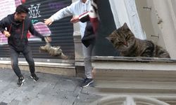 İstiklal Caddesi'nde filmleri aratmayan kedi operasyonu