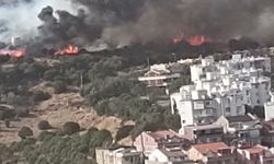 İzmir'de orman yangını! Evlere doğru hareket ediyor