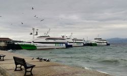 DİKKAT! Bursa-İstanbul deniz otobüsü seferlerinin bazıları iptal edildi