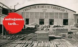 Atatürk'ün açtığı kereste fabrikası küçücük bir ilçeyi nasıl aydınlattı