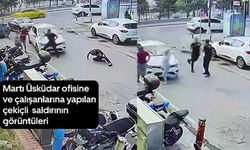 Martı'ya 'çekiçli saldırının' görüntüleri ortaya çıktı!