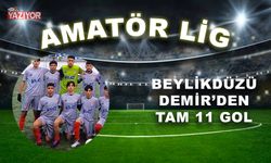 Beylikdüzü Demir topa tuttu: 11-0