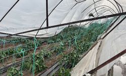 Antalya'da hortum nedeniyle seralar hasar gördü