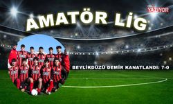 Beylikdüzü Demir kanatlandı: 7-0