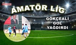 Gökçeali gol yağdırdı: 9-0