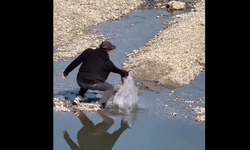 Adana’da sıradan bir gün… Göletteki yılan balığını eliyle yakalayıp fırlattı!
